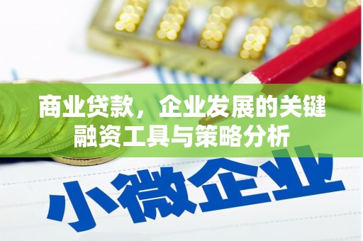 横沥商业贷款，企业发展的关键融资工具与策略分析