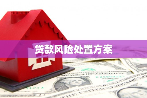 横沥贷款风险处置方案