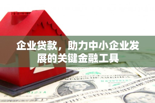 横沥企业贷款，助力中小企业发展的关键金融工具