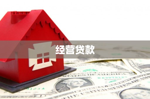 横沥经营贷款