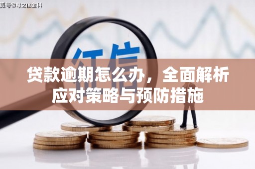 横沥贷款逾期怎么办，全面解析应对策略与预防措施