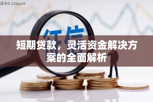 横沥短期贷款，灵活资金解决方案的全面解析