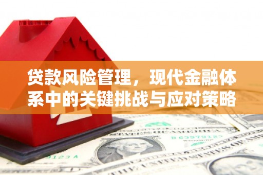 横沥贷款风险管理，现代金融体系中的关键挑战与应对策略