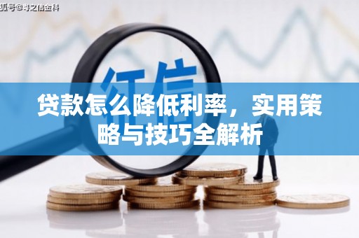 横沥贷款怎么降低利率，实用策略与技巧全解析