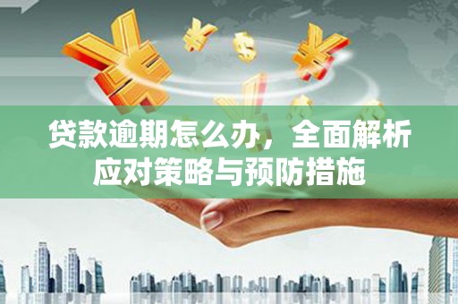 横沥贷款逾期怎么办，全面解析应对策略与预防措施