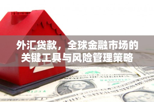 横沥外汇贷款，全球金融市场的关键工具与风险管理策略