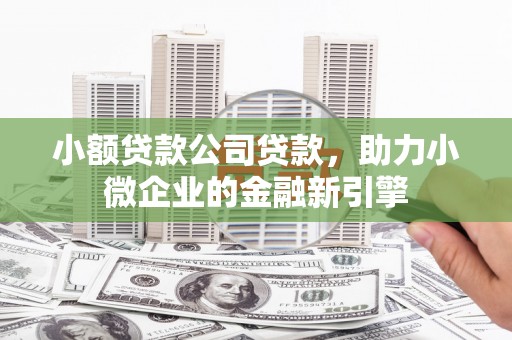 横沥小额贷款公司贷款，助力小微企业的金融新引擎