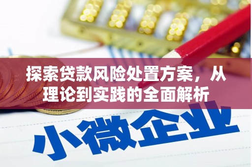 横沥探索贷款风险处置方案，从理论到实践的全面解析