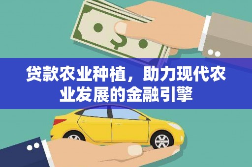 横沥贷款农业种植，助力现代农业发展的金融引擎