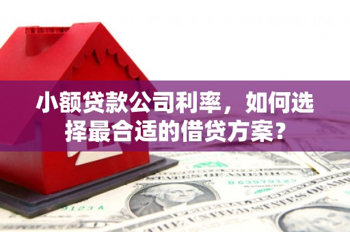 横沥小额贷款公司利率，如何选择最合适的借贷方案？