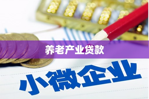 横沥养老产业贷款