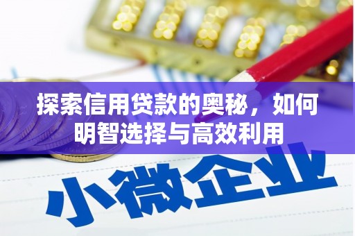 横沥探索信用贷款的奥秘，如何明智选择与高效利用