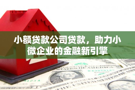 横沥小额贷款公司贷款，助力小微企业的金融新引擎