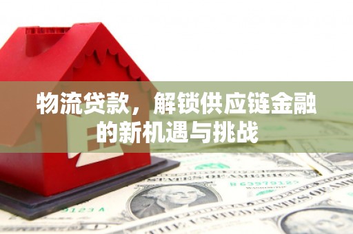 横沥物流贷款，解锁供应链金融的新机遇与挑战