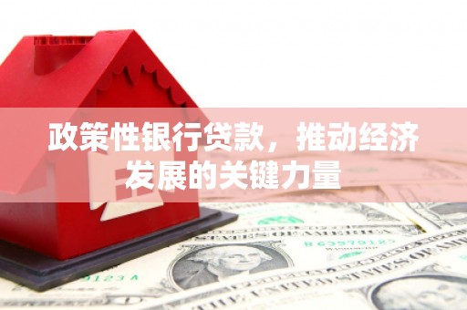 横沥政策性银行贷款，推动经济发展的关键力量