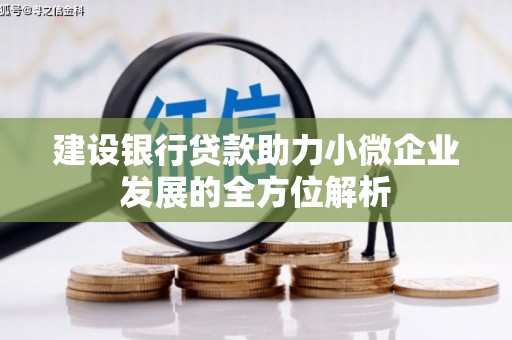 横沥建设银行贷款助力小微企业发展的全方位解析