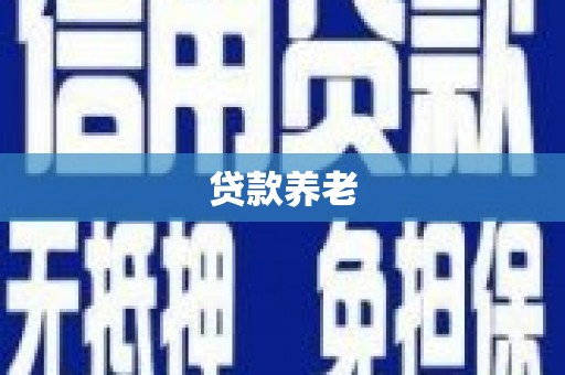横沥贷款养老