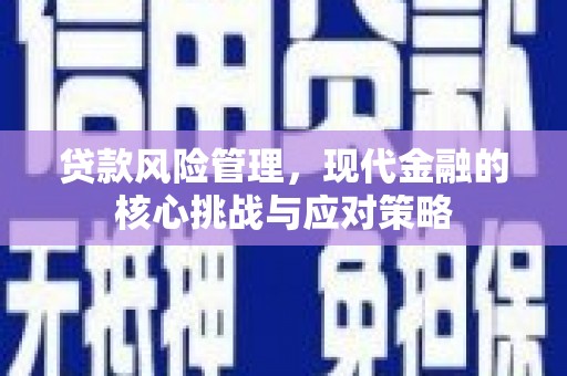 横沥贷款风险管理，现代金融的核心挑战与应对策略