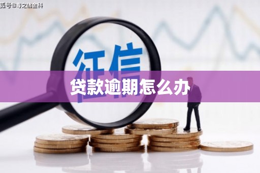 横沥贷款逾期怎么办