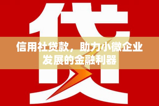 横沥信用社贷款，助力小微企业发展的金融利器