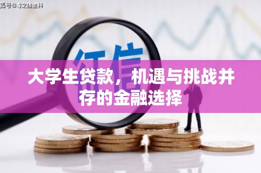 横沥大学生贷款，机遇与挑战并存的金融选择