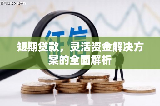 横沥短期贷款，灵活资金解决方案的全面解析