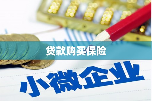 横沥贷款购买保险