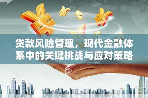 横沥贷款风险管理，现代金融体系中的关键挑战与应对策略
