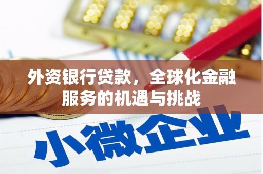 横沥外资银行贷款，全球化金融服务的机遇与挑战
