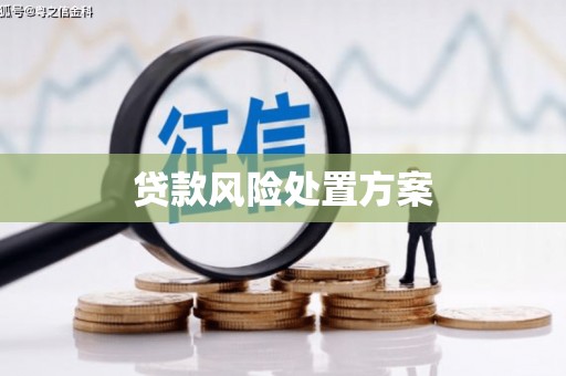 横沥贷款风险处置方案