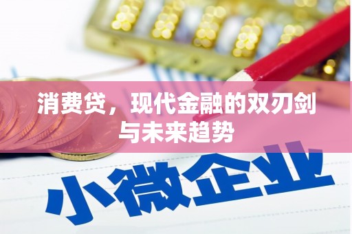 横沥消费贷，现代金融的双刃剑与未来趋势