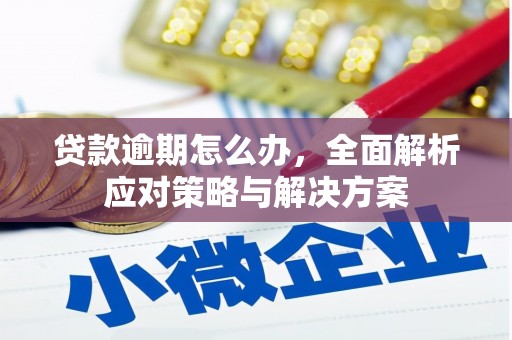 横沥贷款逾期怎么办，全面解析应对策略与解决方案
