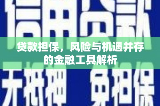 横沥贷款担保，风险与机遇并存的金融工具解析