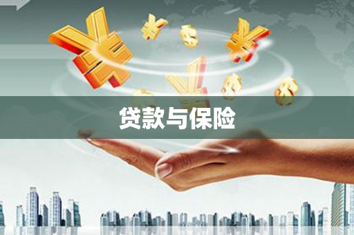 横沥贷款与保险