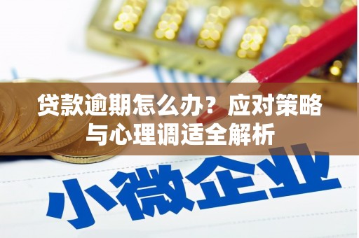 横沥贷款逾期怎么办？应对策略与心理调适全解析