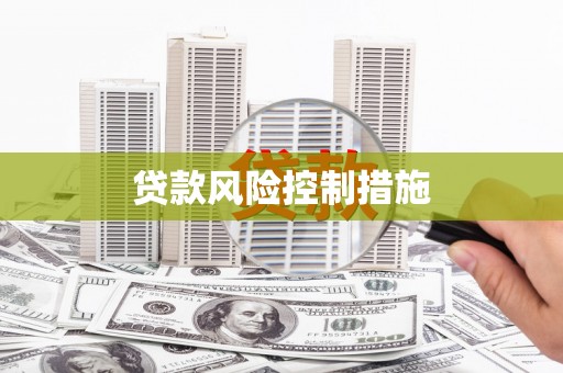 横沥贷款风险控制措施