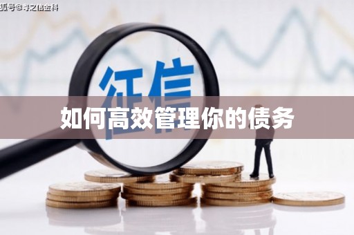 横沥如何高效管理你的债务