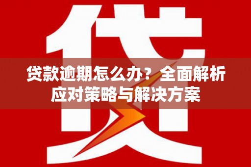 横沥贷款逾期怎么办？全面解析应对策略与解决方案