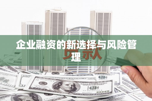横沥企业融资的新选择与风险管理