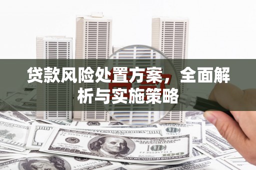 横沥贷款风险处置方案，全面解析与实施策略