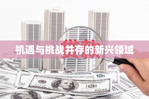 横沥机遇与挑战并存的新兴领域
