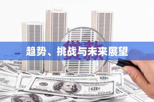 横沥趋势、挑战与未来展望