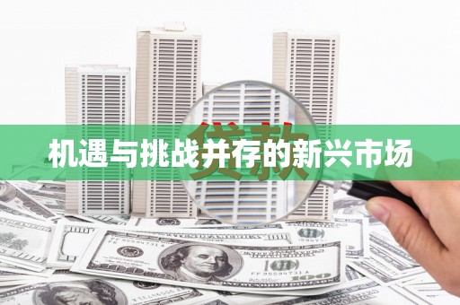 横沥机遇与挑战并存的新兴市场