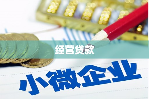 横沥经营贷款