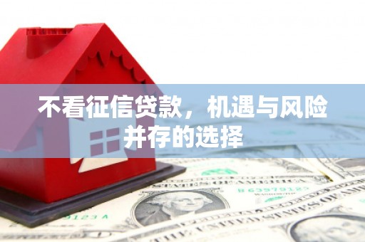横沥不看征信贷款，机遇与风险并存的选择